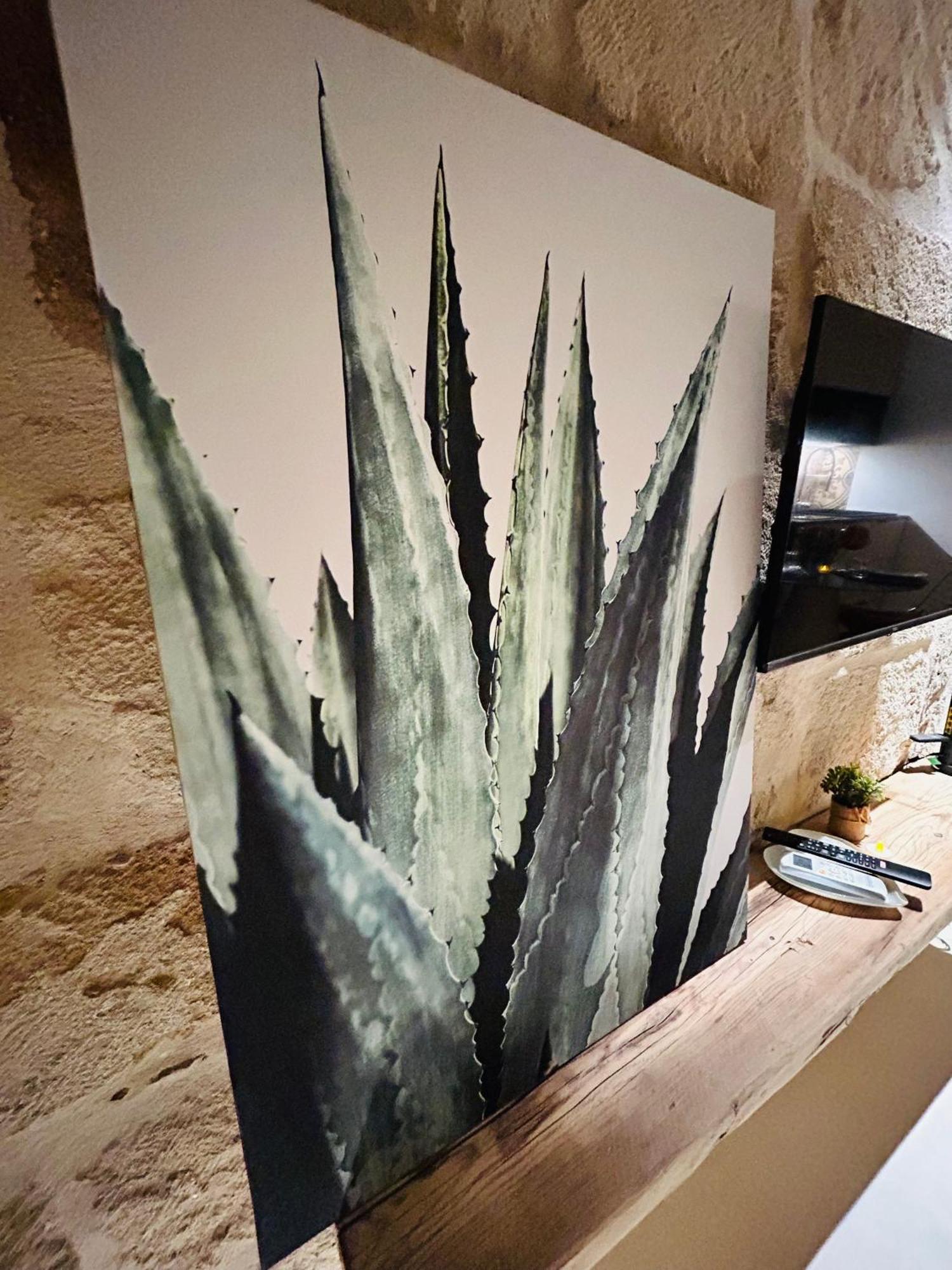 My Loft - Monopoli Apartman Kültér fotó